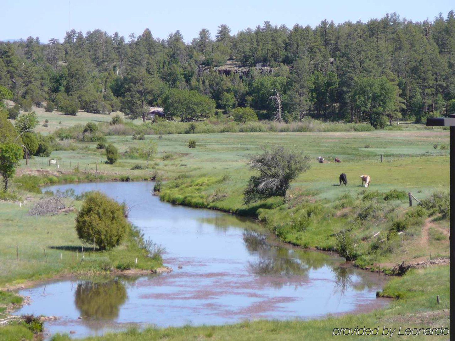 Hampton & Show Low-pinetop Hotel